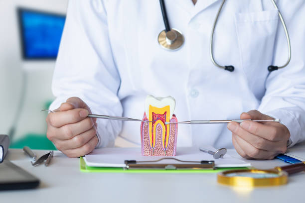 Best Emergency Tooth Extraction in Huntsville, MO